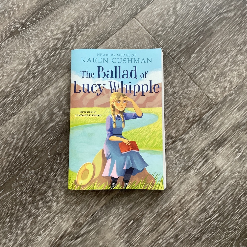 Brand New - The Ballard of Lucy Whipple Book